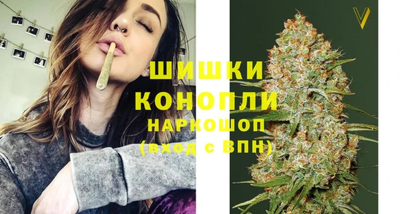 гашик Балахна