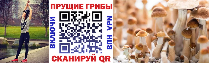 Галлюциногенные грибы ЛСД  Теберда 